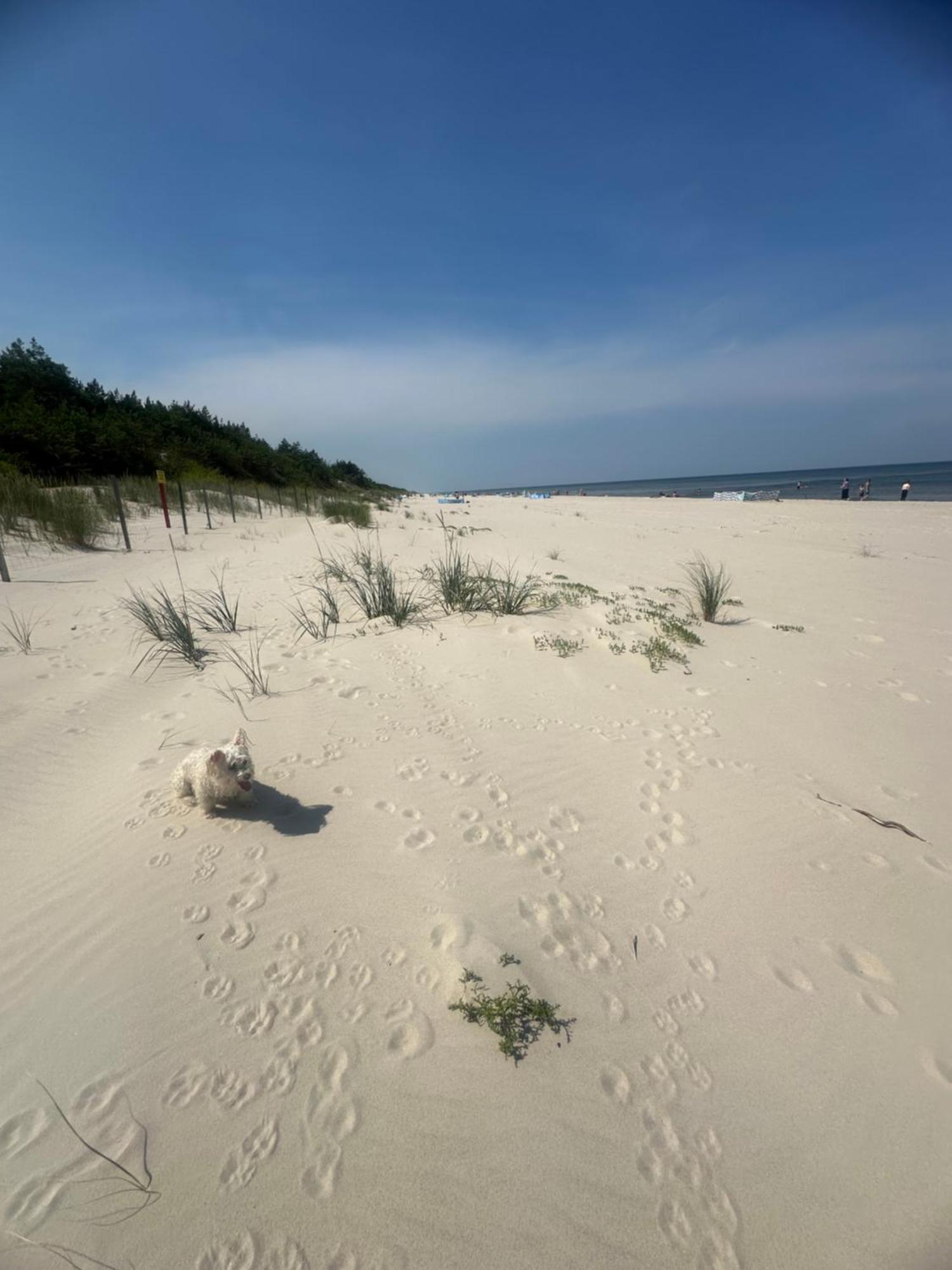 Baltic Holidays غونسكي المظهر الخارجي الصورة